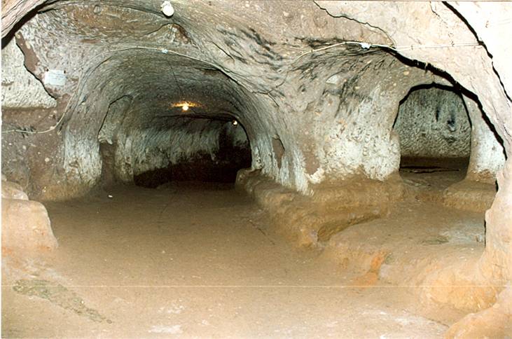 Doğa Yürüyüşü (trekki̇ng) - Safi̇ye Başdeği̇rmen - Fotoğraf 6